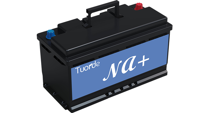 全球最大钠离子成年人免费看片储能电站投运，单次充电可储存10万度电